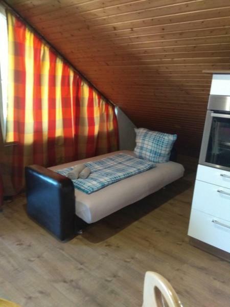Appartment Am Waldmattensee Kippenheimweiler Kültér fotó